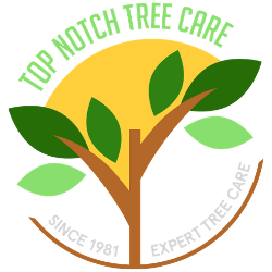 TOP-NOTCH-TREE-CARE