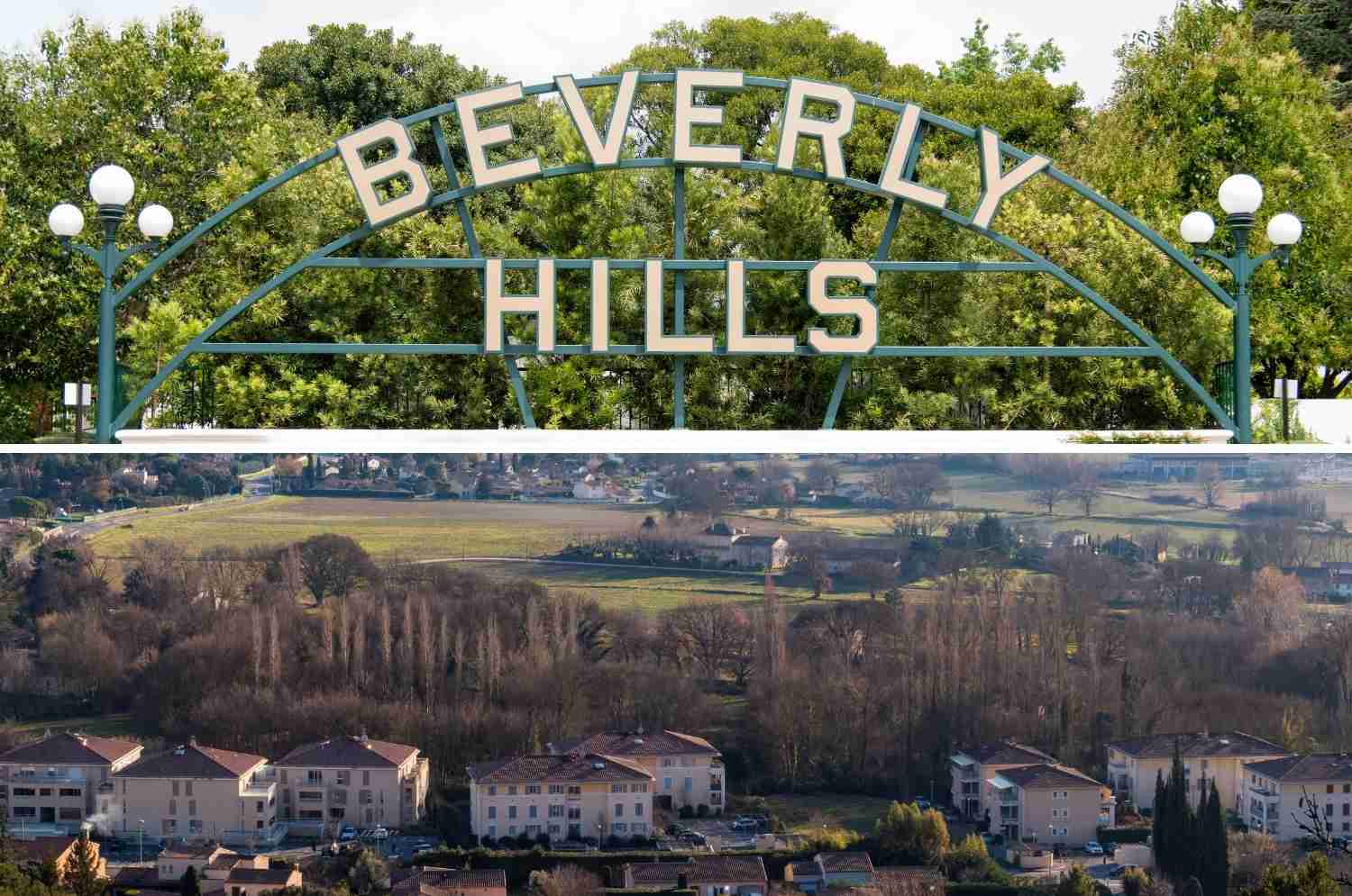 Beverly Hills and Bel Air Tree Services Top Notch Tree Care (818) 268-7474 | (805) 210-5674